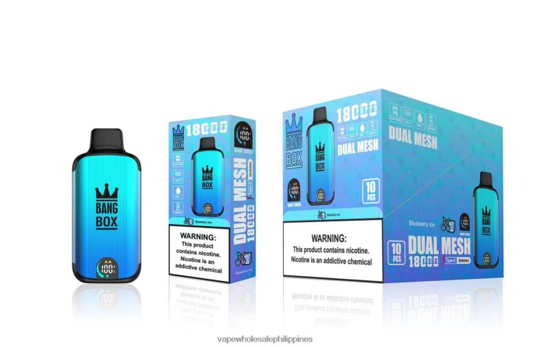 Cheapest Vape Philippines - Bang Box 18000 puffs Blueberry Ice BF4RF90