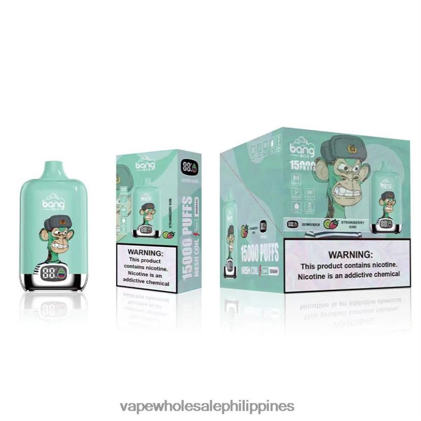 vape wholesale supplier manila 2J4240133 Strawberry Kiwi Bang Box 15000