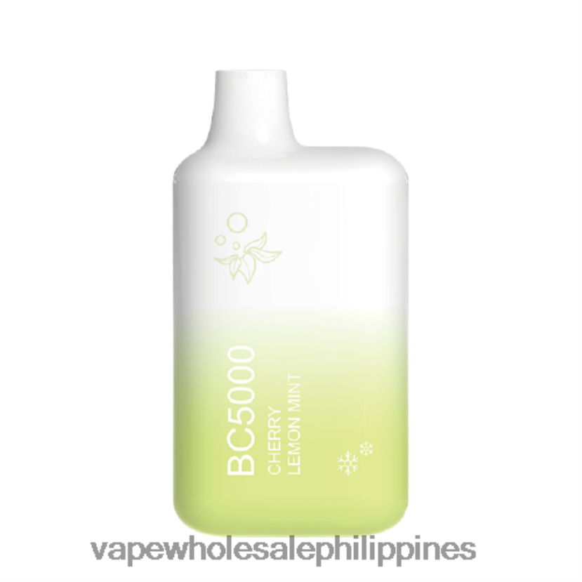 vape wholesale supplier philippines 2J4240302 Lemon Mint ELFBAR BC5000