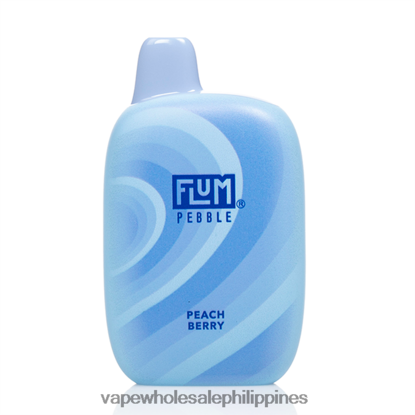 E Cig Wholesale - FLUM PEBBLES 6000 PUFFS Peach Berry 4H80X037