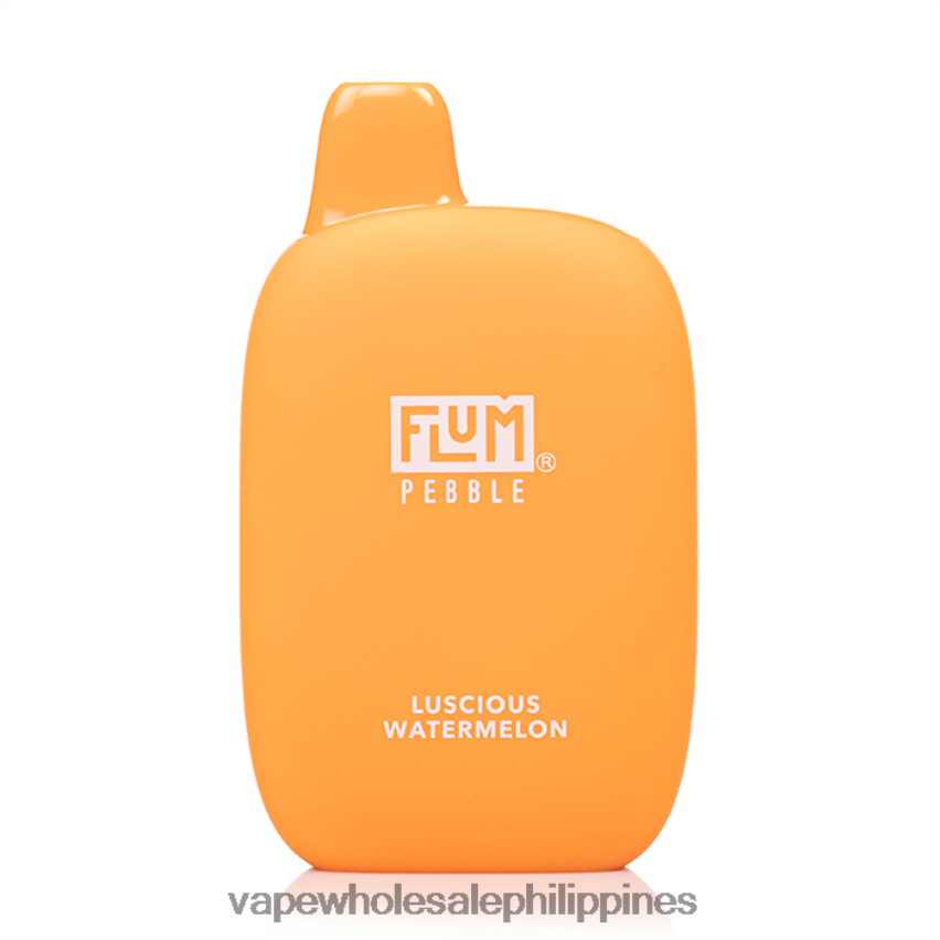 Vape Cheap Online - FLUM PEBBLES 6000 PUFFS Luscious Watermelon 4H80X031