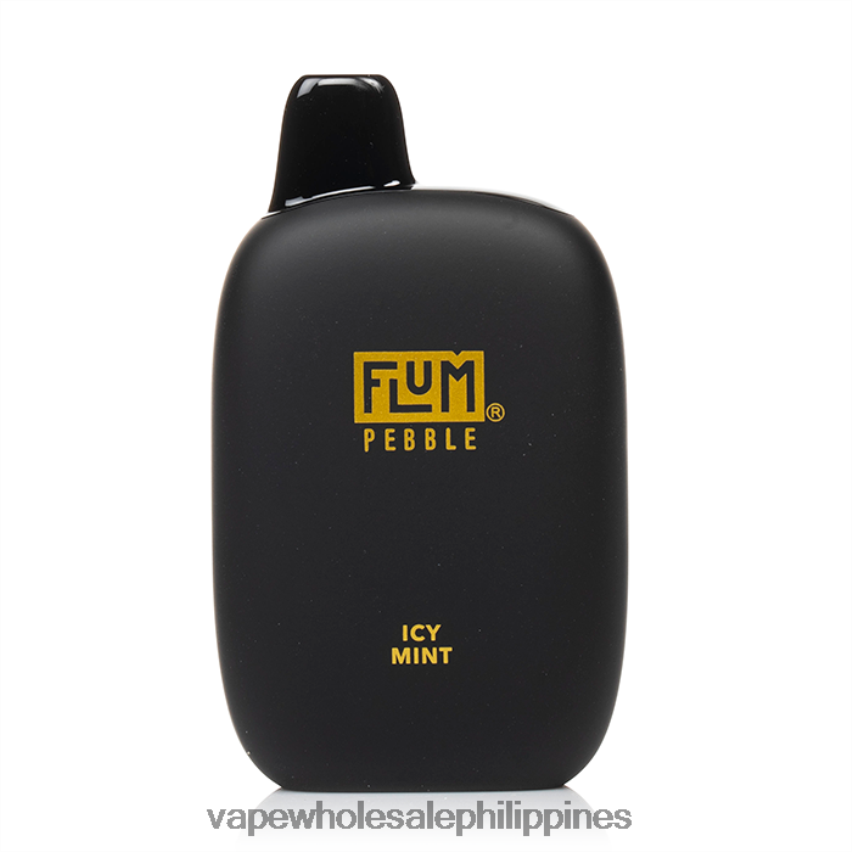 Vape Cheapest Price - FLUM PEBBLES 6000 PUFFS Icy Mint 4H80X030