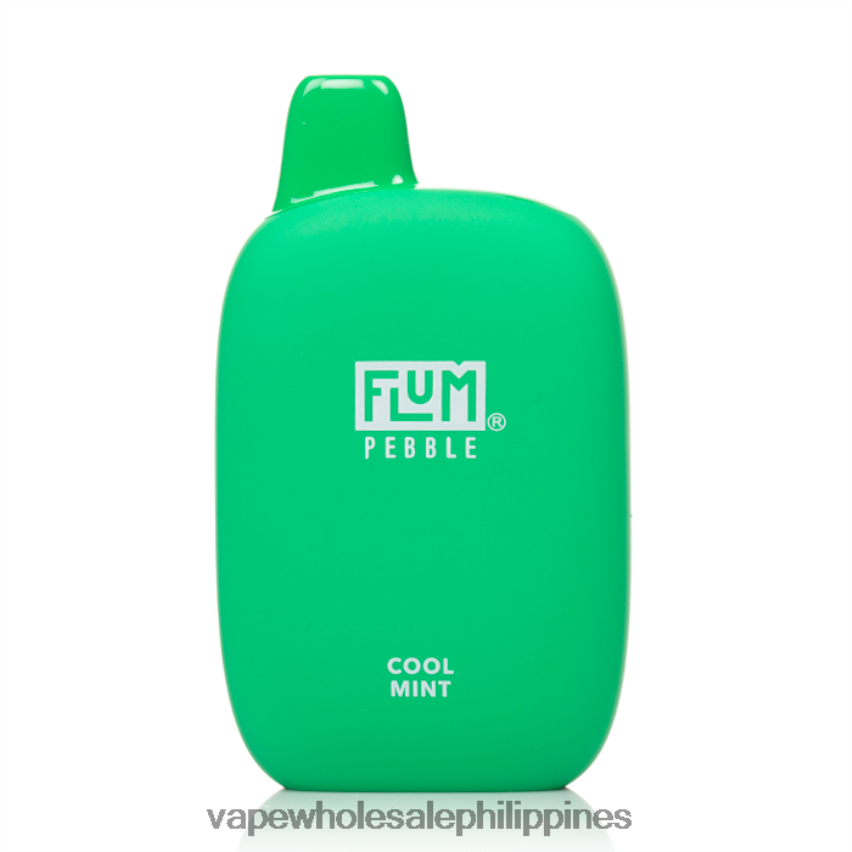 Vape Philippines Price - FLUM PEBBLES 6000 PUFFS Cool Mint 4H80X026