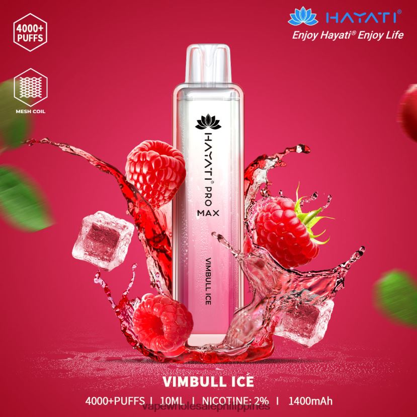 vape cheapest price 2J4240180 Vimbull Ice Hayati Pro Max 4000