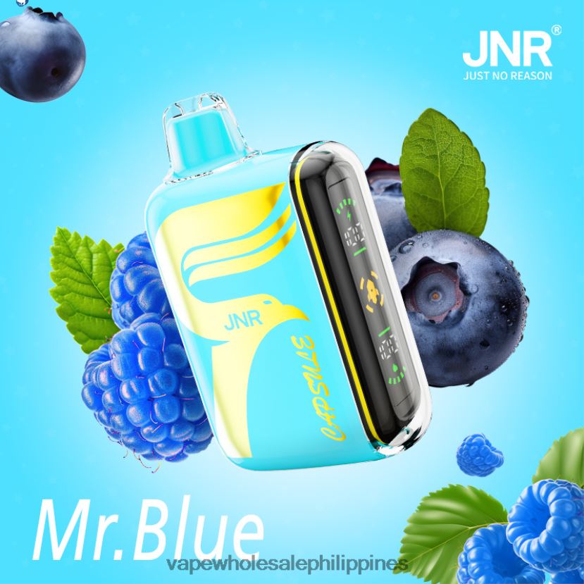 vape philippines price 2J4240606 Mr.Blue JNR CAPSULE