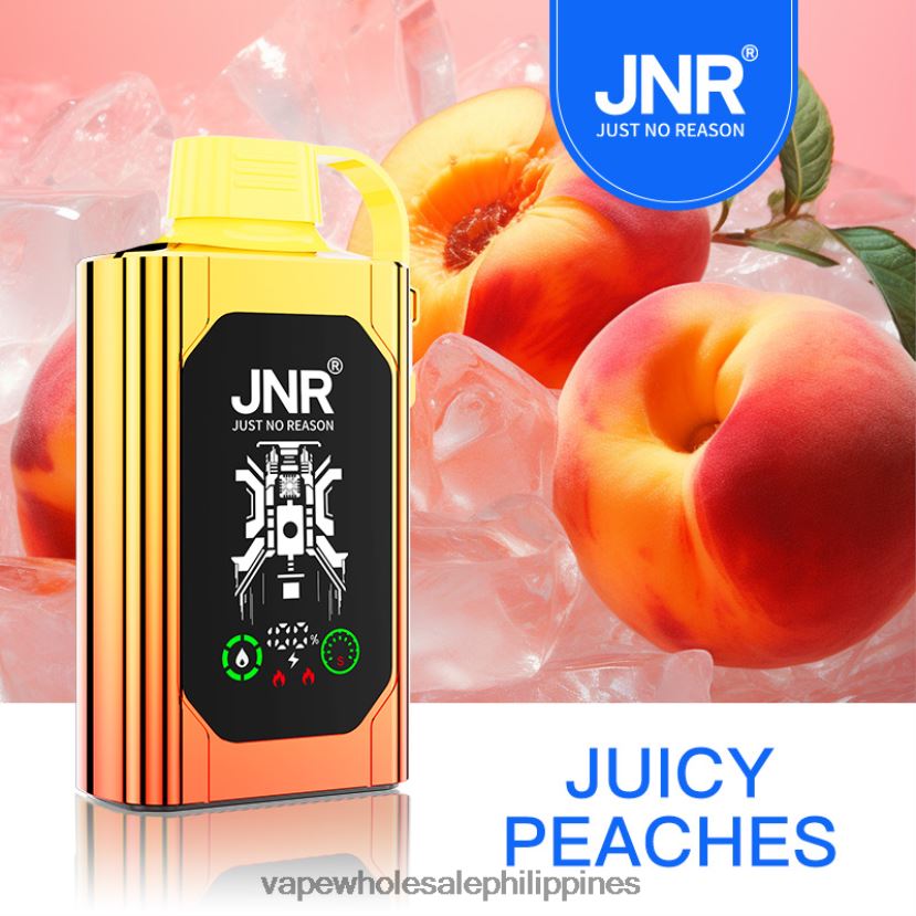 vape wholesale supplier philippines 2J4240622 Juicy Peaches JNR SHISHA BOX