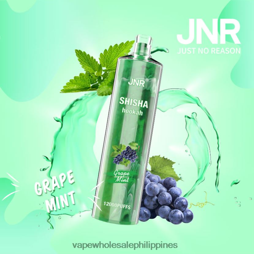 vape store davao city 2J4240678 Grape Mint JNR SHISHA