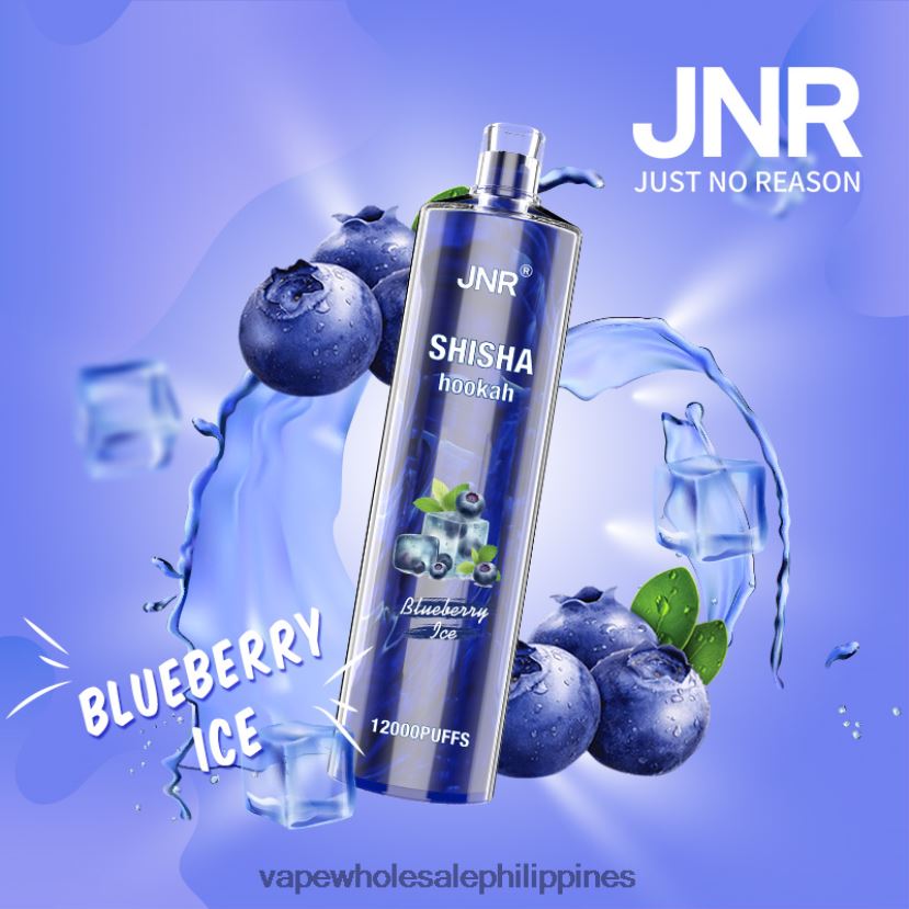 vape wholesale philippines 2J4240671 Blueberry Ice JNR SHISHA