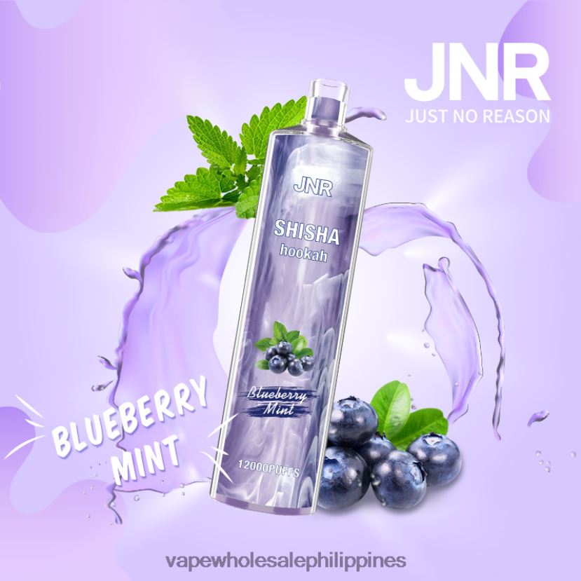 Blueberry Mint