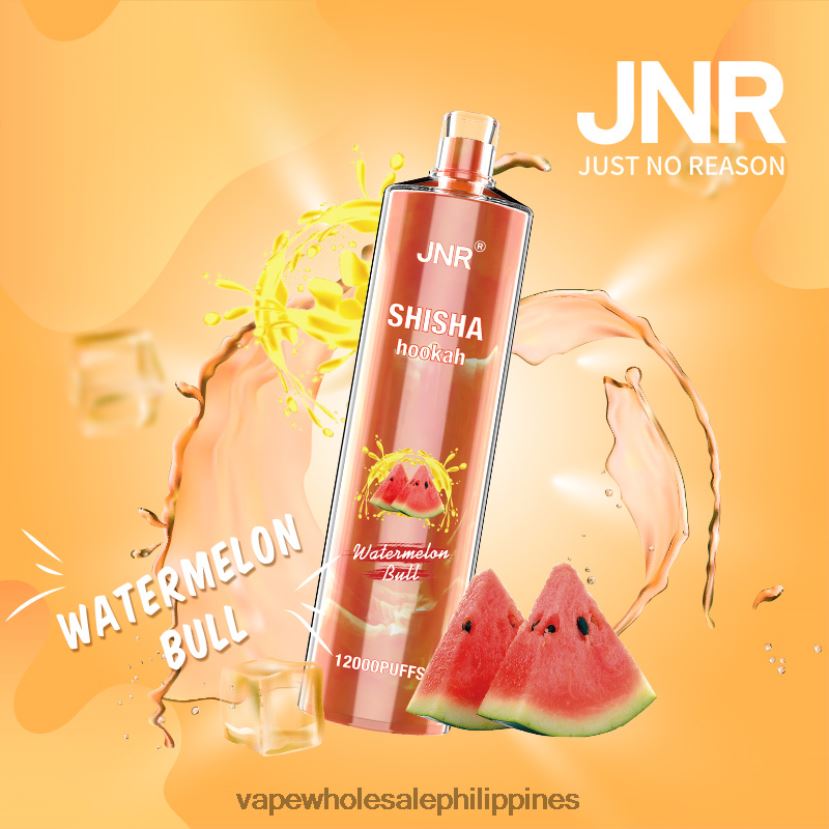 vape wholesale supplier philippines 2J4240692 Watermelon Bull JNR SHISHA