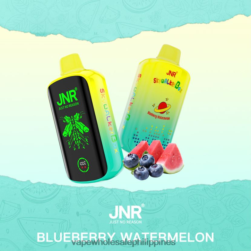 vape philippines price 2J4240586 Blueberry Watermelon JNR SKYWALKER BOX