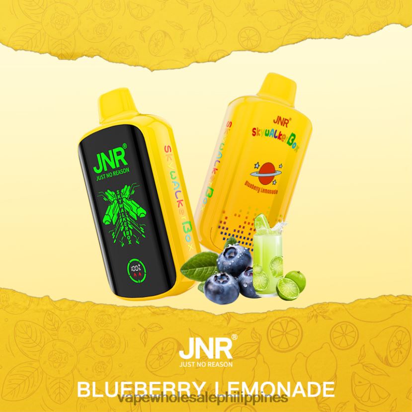 vape supplier manila 2J4240584 Blueberry Lemonade JNR SKYWALKER BOX