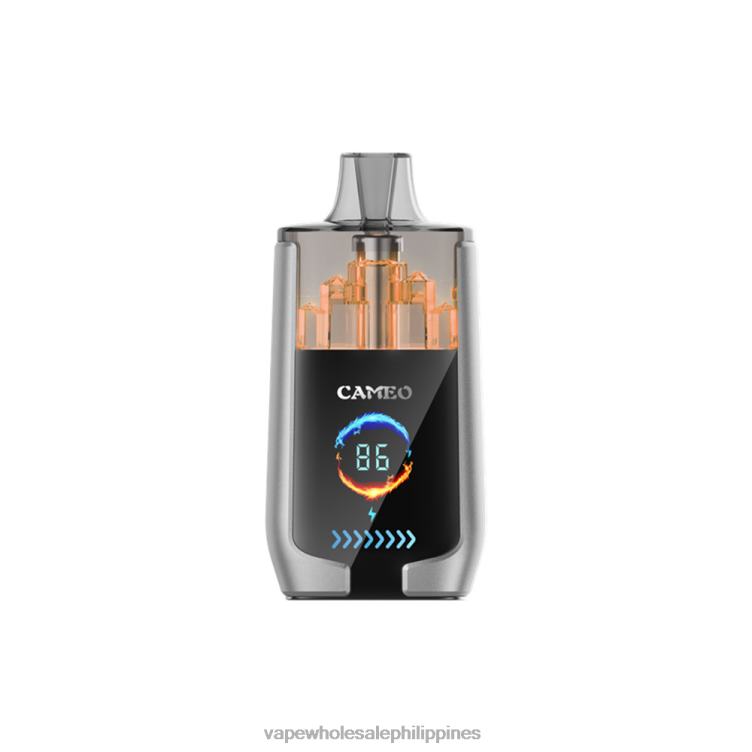 Buy Vape Philippines - Blueberry Ice LAVIE CAMEO 30000 Puffs 2DTH215