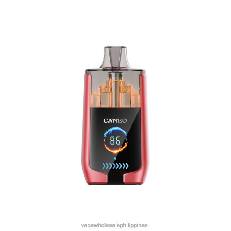 Cheap Vape Philippines - Watermelon Ice LAVIE CAMEO 30000 Puffs 2DTH214