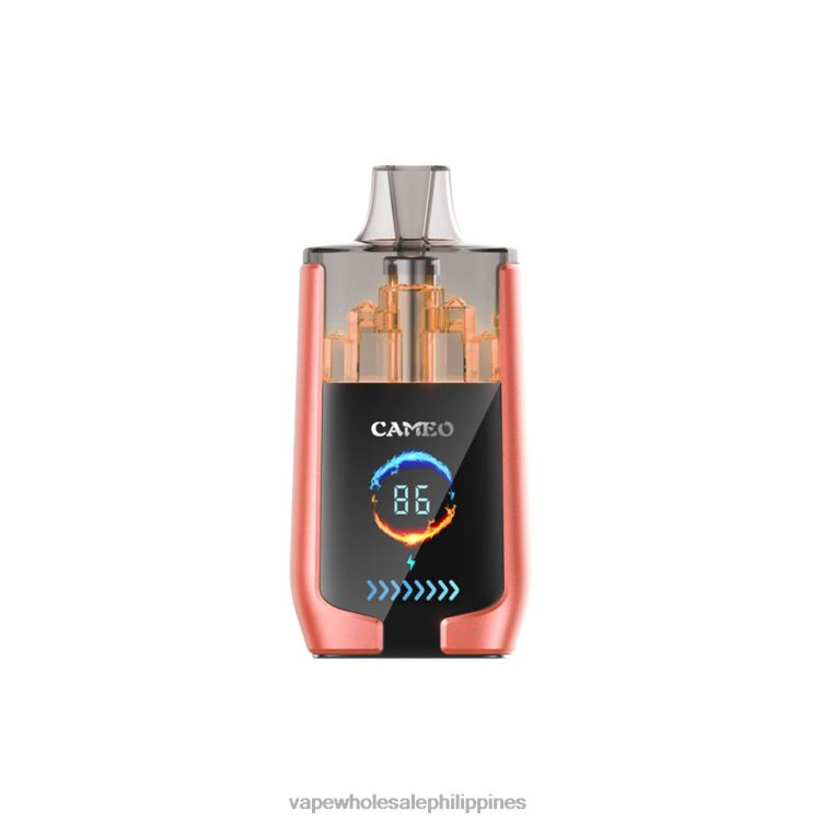 Vape Supplier Manila - Strawberry Watermelon LAVIE CAMEO 30000 Puffs 2DTH224