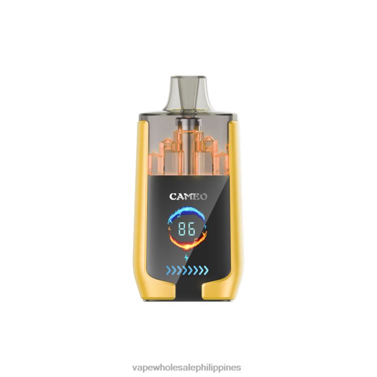 Vape Wholesale Philippines - Mango Ice LAVIE CAMEO 30000 Puffs 2DTH221