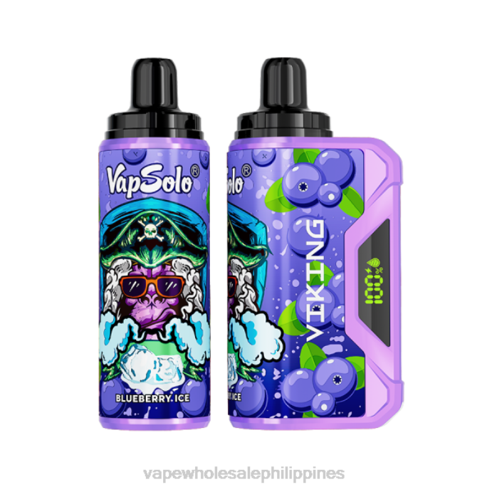 E Cigarette Philippines Price - Vapsolo VIKING Disposable Vape Blueberry H2HF130