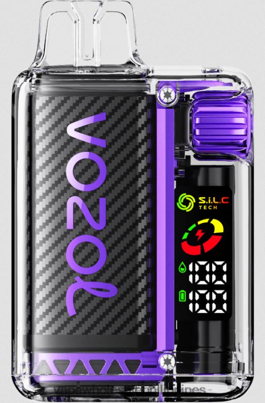 vape wholesaler 2J42409 Strawberry Mango VOZOL VISTA 16000/20000 5%